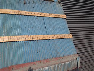 P5190043_R.JPG