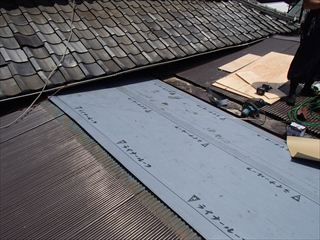 P5190068_R.JPG