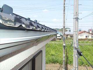 P5243316_R.JPG