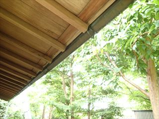 P5251652_R.JPG