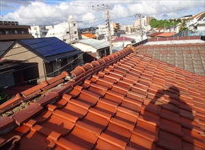 P9040440_R_R.JPG