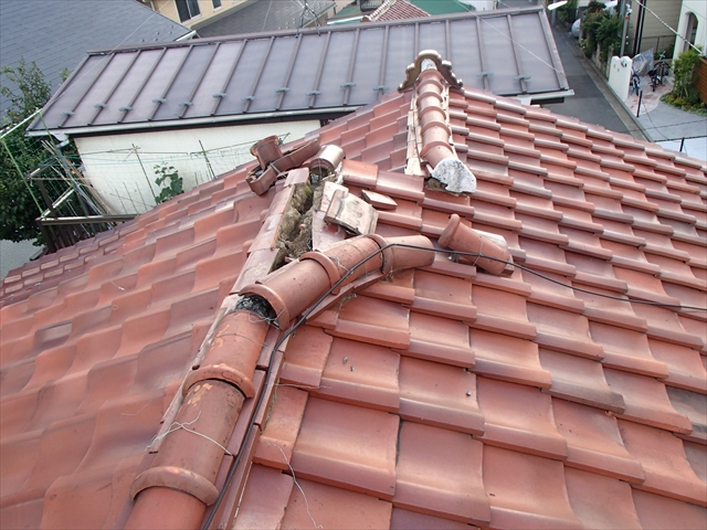 P9040451_R.JPG