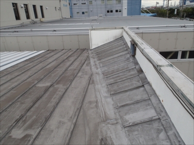 PA230536.JPG
