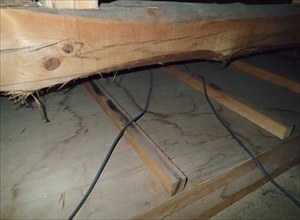 PB030195_R_R.JPG