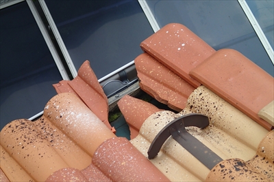 S瓦P7224101.JPG