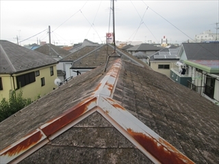 midorikuIMG_1736.JPG